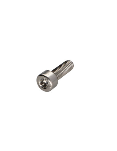 1 x Metalen schroeven cilindrische kop T6 RVS...