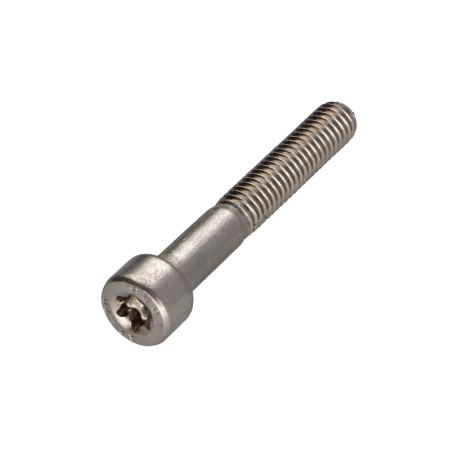 1 x Metalen schroeven cilindrische kop TORX T50 RVS A2 M10X40 bedraad op 32