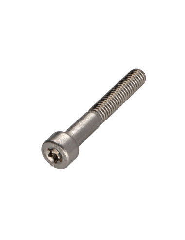 1 x Metalen schroeven cilindrische kop TORX T45...