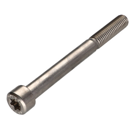 1 x Metalen schroeven cilindrische kop TORX T50 RVS A2 M10X100 bedraad op 32
