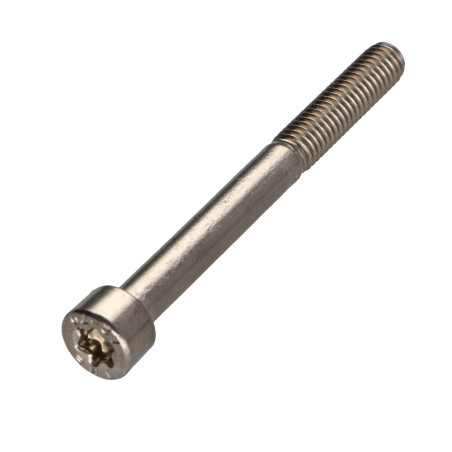 1 x Metalen schroeven cilindrische kop TORX T25 RVS A2 M5X60 bedraad op 22