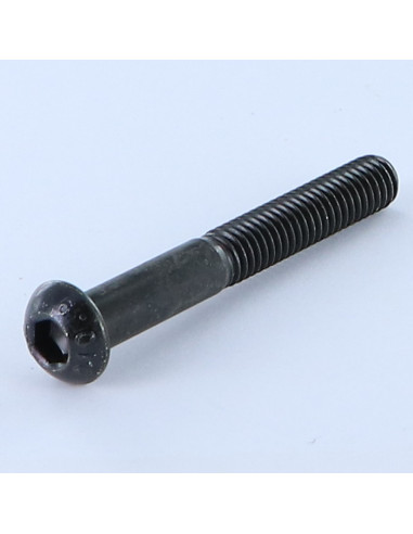 1 x Metalen schroeven Zeshoekig hol M6X45...