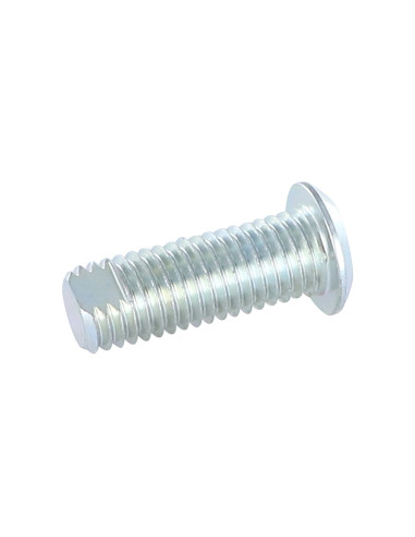 1 x Metalen schroeven Wit verzinkt staal...