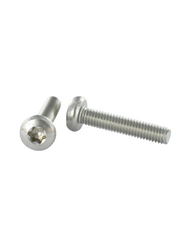 1 x Metalen schroeven bolvormige kopschroef RVS...