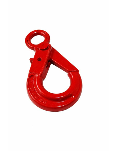 1 x Ooghaak met vergrendeling rang 80 10 mm...