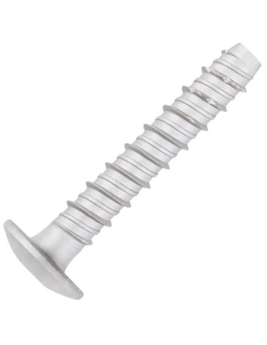 1 x Betonschroeven kop bollig TORX TORX T30...
