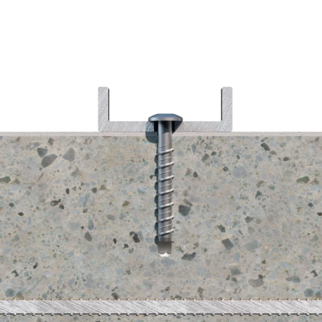1 x Betonschroeven kop bollig TORX TORX T30 6X50 Wit verzinkt staal