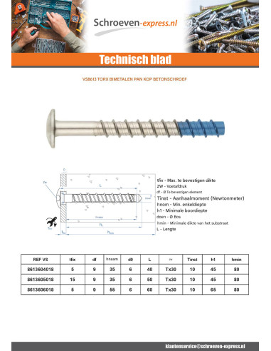 1 x Betonschroeven kop bollig TORX TORX T30...