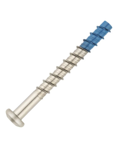 1 x Betonschroeven cilindrische kop TORX T40...