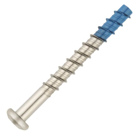 1 x Betonschroeven cilindrische kop TORX T40 6X100 Bimetaal