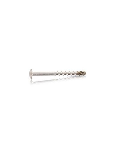 1 x Betonschroeven kop bollig TORX T30 A4 RVS...