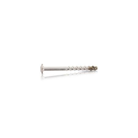 1 x Betonschroeven kop bollig TORX T30 A4 RVS 7,5X80 bedraad op 25