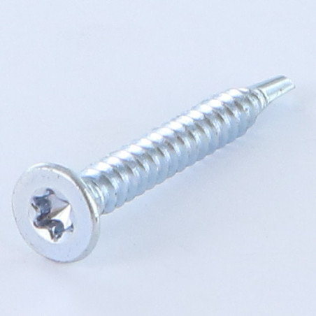 1 x Zelfborende schroef gefreesde kop TORX T20 3.9X13 Wit verzinkt staal