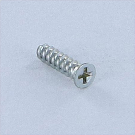 1 x Zelftappende schroef voor plastic gefreesde kop Phillips 0 1.6X4 Wit verzinkt staal microschroeven