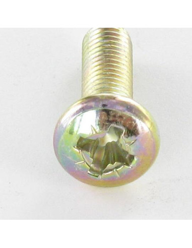 1 x Metalen schroeven bolvormige kopschroef...