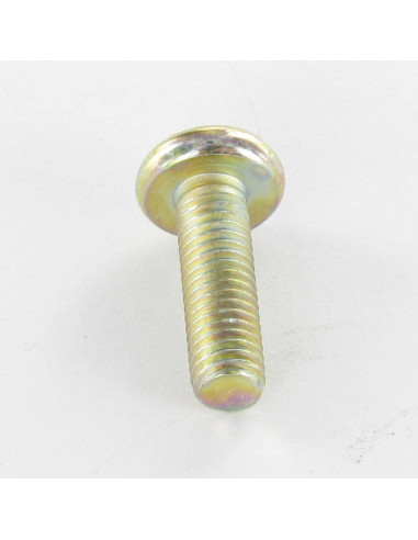 1 x Metalen schroeven bolvormige kopschroef...
