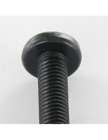 1 x Metalen schroeven bolvormige kopschroef...