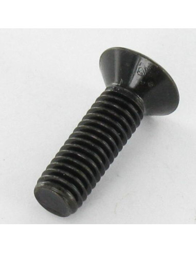 1 x Metalen schroeven gefreesde kop Pozi PZ7...