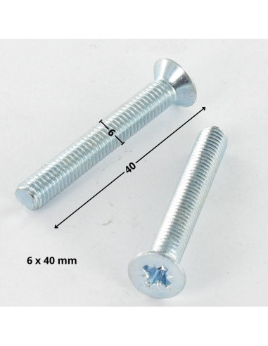 1 x Metalen schroeven gefreesde kop Pozi PZ8...