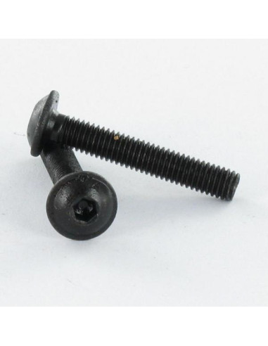 1 x Metalen schroeven brede ronde kop zeshoekig...