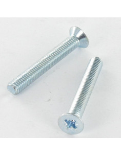 Metalen schroeven gefreesde kop Pozi PZ8 M6X60 Wit...