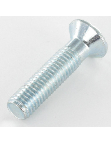 1 x Metalen schroeven gefreesde kop 10X44...