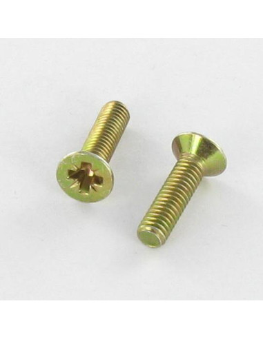 1 x Metalen schroeven gefreesde kop Pozi PZ7...