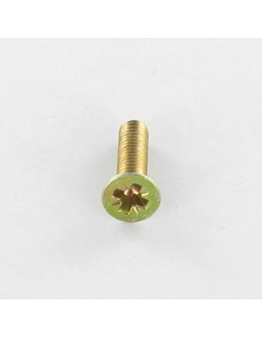 1 x Metalen schroeven gefreesde kop Pozi PZ7...