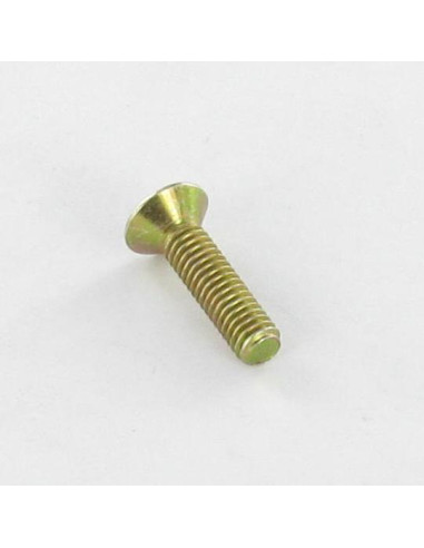1 x Metalen schroeven gefreesde kop Pozi PZ7...