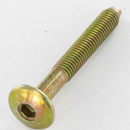1 x Schroeven Bolkop breed rond holle zeshoekige M6X47 bedraad op 32 conische uiteinde Bichromaat
