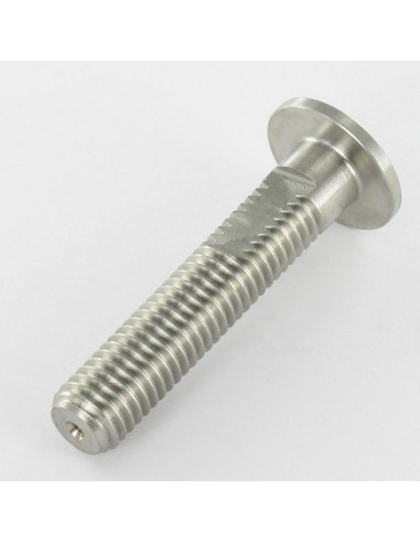 1 x Metalen schroeven kop plat A/FLAT 20X50...