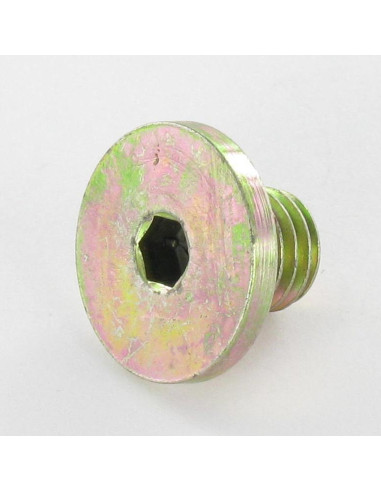 1 x Metalen schroeven Bichromaat platte kop...