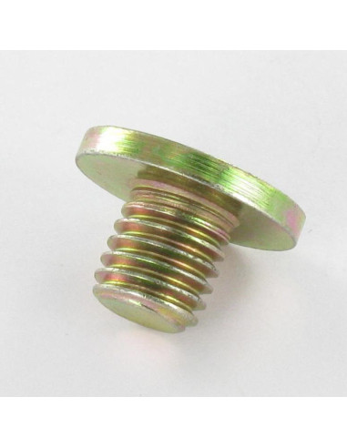 1 x Metalen schroeven Bichromaat platte kop...