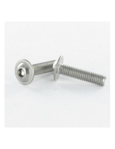 1 x Metalen schroeven brede ronde kop zeshoekig...
