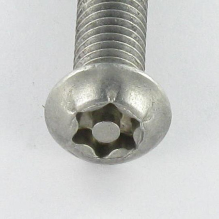 1 x Metalen schroeven RVS A2 Onbreekbaar bolkop TORX T30 met pen M6X40