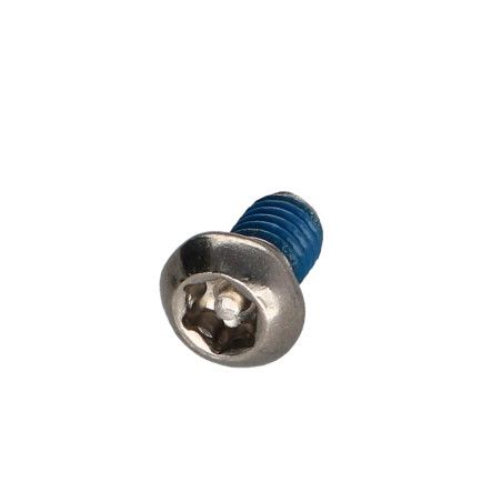 1 x Metalen schroeven RVS A2 Onbreekbaar bolkop TORX T30 met pen M6X10+ Remdraad