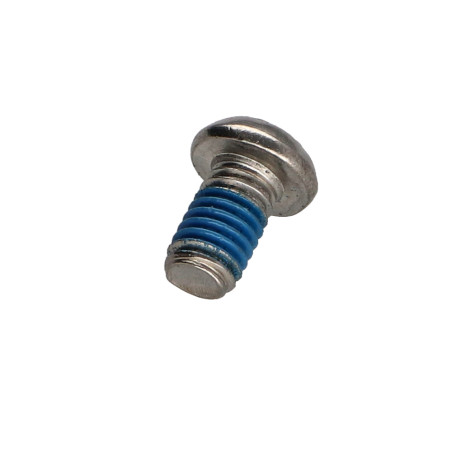 1 x Metalen schroeven RVS A2 Onbreekbaar bolkop TORX T30 met pen M6X10+ Remdraad