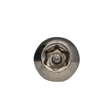 1 x Metalen schroeven RVS A2 Onbreekbaar bolkop TORX T30 met pen M6X10+ Remdraad
