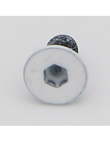 1 x Metalen schroeven FHC verzonken kop met...