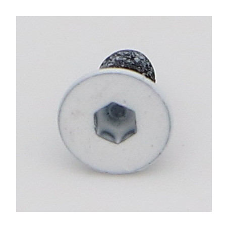 1 x Metalen schroeven FHC verzonken kop met zeskant print M3X6 volledige draad klasse 10.9 sleutel van 2 Ruw staal LBL