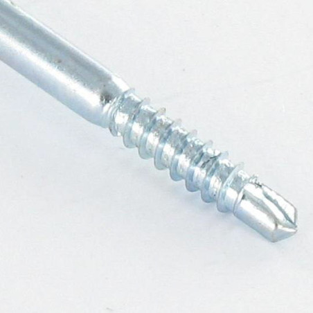 1 x Zelfborende schroef bol cilinderkop phillips 2.9X29 Wit verzinkt staal