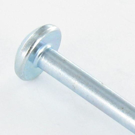 1 x Zelfborende schroef bol cilinderkop phillips 2.9X29 Wit verzinkt staal