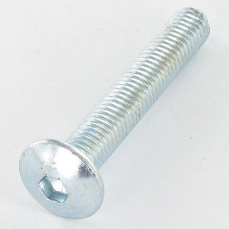 1 x Schroeven Bolkop breed rond M8X55 sleutel van 5 Wit verzinkt staal Piloot uiteinde