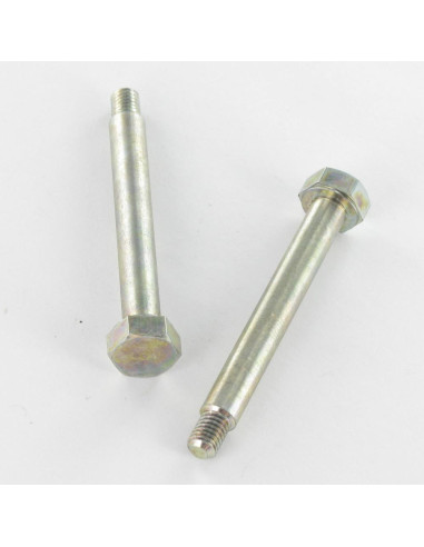 1 x Metalen schroeven Wit verzinkt staal...