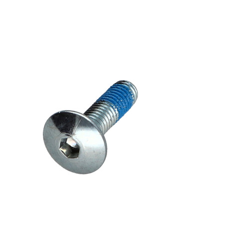 1 x Schroeven Bolkop breed rond M6X22 sleutel van 4 Wit verzinkt staal Remdraad