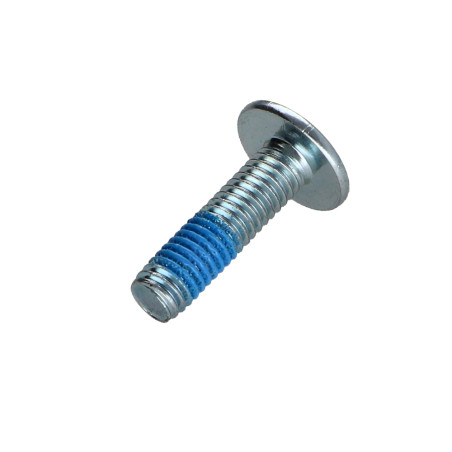 1 x Schroeven Bolkop breed rond M6X22 sleutel van 4 Wit verzinkt staal Remdraad