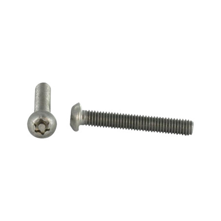 1 x Metalen schroeven RVS A2 Onbreekbaar bolkop TORX T25 met pen M5X12