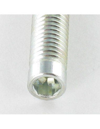 1 x Metalen schroeven Wit verzinkt staal zonder...