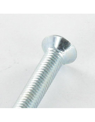 1 x Metalen schroeven gefreesde kop Pozi PZ7...