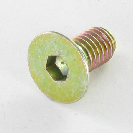 1 x Metalen schroeven FHC verzonken kop met zeskant print M8X12 volledige draad klasse 10.9 sleutel van 5 Bichromaat
